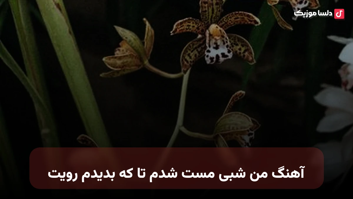  من شبی مست شدم تا که بدیدم رویت